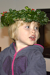ida m krans